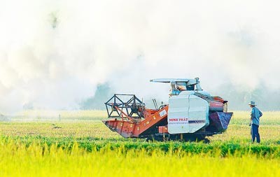 Farmers harvest rice with combine harvester in Vinh Long Province (Photo: SGGP)